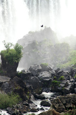 Foz do Iguaçu - Chutes d